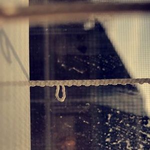 Meet your Posher, Maryam